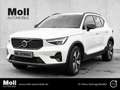 Volvo XC40 Plus Dark Recharge Plug-In Hybrid 2WD T4 Twin Engi Weiß - thumbnail 1