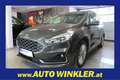 Ford Galaxy 2.0 EcoBlue Titanium AWD Aut. 7-Sitze/Navi/Leder/ Grau - thumbnail 1