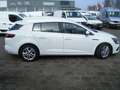 Renault Megane 1.5 dCi Expression S&S VOORZIEN VAN AIRCO+CRUISECO Bianco - thumbnail 5