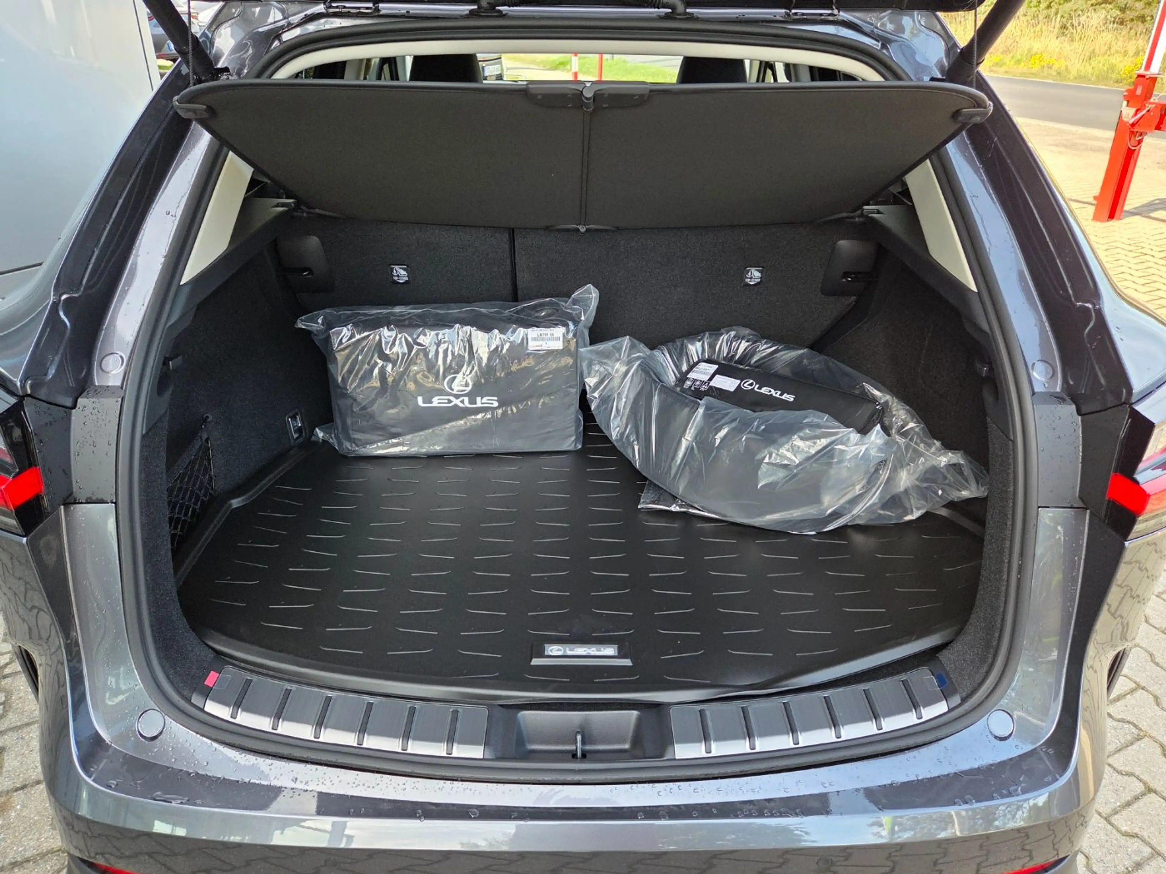 Lexus NX 450h+ NX 450h Advantage (E-Four) Mark Levinson — photo 6