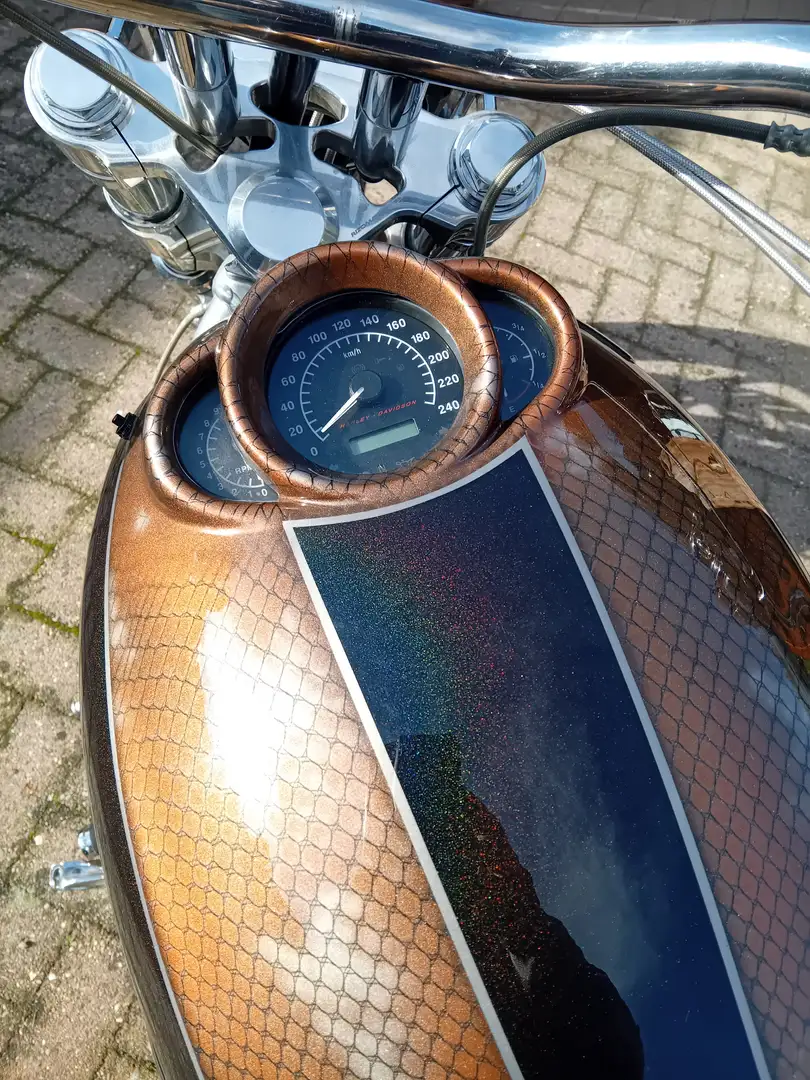 Harley-Davidson VRSC V-Rod Custom speciaal paint Bruin - 2