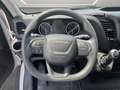 Iveco Daily Doppelkabine Pritschenwagen Blanc - thumbnail 7
