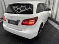 Mercedes-Benz B 160 B 160 CDI *8-fach bereift Weiß - thumbnail 4