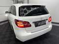 Mercedes-Benz B 160 B 160 CDI *8-fach bereift Weiß - thumbnail 3
