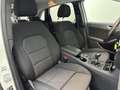 Mercedes-Benz B 160 B 160 CDI *8-fach bereift Weiß - thumbnail 10