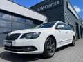 Skoda Superb Combi Elegance DSG/Pano/Navi/Tempo/Xenon Wit - thumbnail 1
