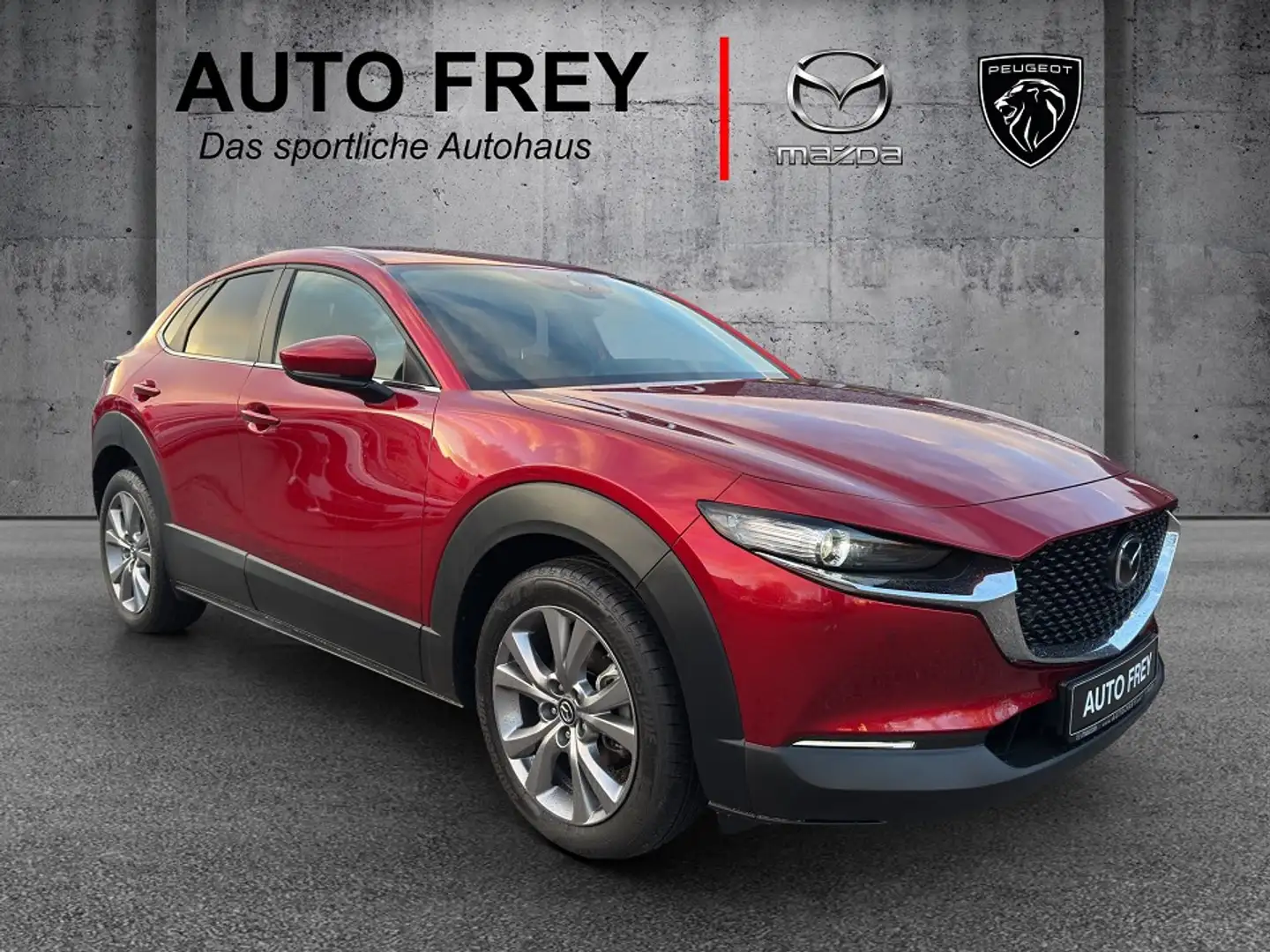 Mazda CX-30 122PS Selection PRE-P+ 360°+KLIMA+NAVI+ADAPTIVESTE Rot - 1