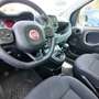 Fiat Panda Panda III 1.0 firefly hybrid Blu/Azzurro - thumbnail 15