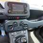 Fiat Panda Panda III 1.0 firefly hybrid Blu/Azzurro - thumbnail 9