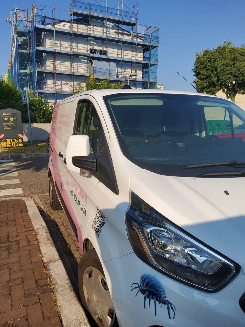 Ford Tourneo Custom - 1