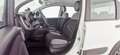 Fiat Panda 1.0 FireFly S&S Hybrid City Life - OK NEOPATENTATO Bianco - thumbnail 13