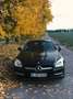 Mercedes-Benz SLK 200 SLK-Klasse (BlueEFFICIENCY), Panorama, Leder Negro - thumbnail 2