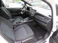 Nissan Leaf Acenta 40kW 150PS mit Winterpaket Alb - thumbnail 14