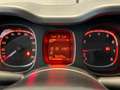Fiat Panda 1.0 FireFly 70cv S&S Hybrid City Life Grigio - thumbnail 13