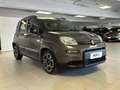 Fiat Panda 1.0 FireFly 70cv S&S Hybrid City Life Grigio - thumbnail 5