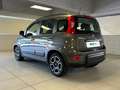 Fiat Panda 1.0 FireFly 70cv S&S Hybrid City Life Grigio - thumbnail 3
