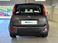 Fiat Panda 1.0 FireFly 70cv S&S Hybrid City Life Grigio - thumbnail 4