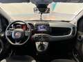 Fiat Panda 1.0 FireFly 70cv S&S Hybrid City Life Grigio - thumbnail 8