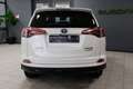 Toyota RAV 4 2.5 Hybrid **19.951km** UNIEK |4 x Z.G.A.N ALL-Sea Weiß - thumbnail 8