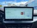 Ford Focus Active X Mild-Hybrid *Sofort Verfügbar* Grau - thumbnail 10