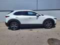 Mazda CX-30 X180 AWD AT 100 Years Sondermodell Weiß - thumbnail 3