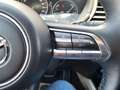 Mazda CX-30 X180 AWD AT 100 Years Sondermodell Weiß - thumbnail 20