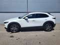 Mazda CX-30 X180 AWD AT 100 Years Sondermodell Weiß - thumbnail 4