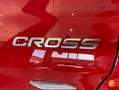Fiat Tipo Cross+1.5+Hybrid+97kW+%28130CV%29+DCT Rojo - thumbnail 15