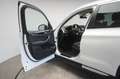 BMW X3 xDrive20d Leder/Temp/Kamera/Virtual/Pano/Side Blanc - thumbnail 11