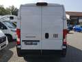 Fiat Ducato Ducato 35 | L2H2 140 MT | Sofort verfügbar Blanc - thumbnail 4
