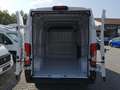 Fiat Ducato Ducato 35 | L2H2 140 MT | Sofort verfügbar Blanc - thumbnail 5
