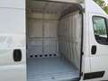 Fiat Ducato Ducato 35 | L2H2 140 MT | Sofort verfügbar Blanc - thumbnail 8