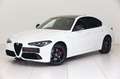 Alfa Romeo Giulia Tributo Italiano 2,0 16V 280 AT8 Q4 Alb - thumbnail 1