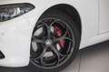 Alfa Romeo Giulia Tributo Italiano 2,0 16V 280 AT8 Q4 Alb - thumbnail 2
