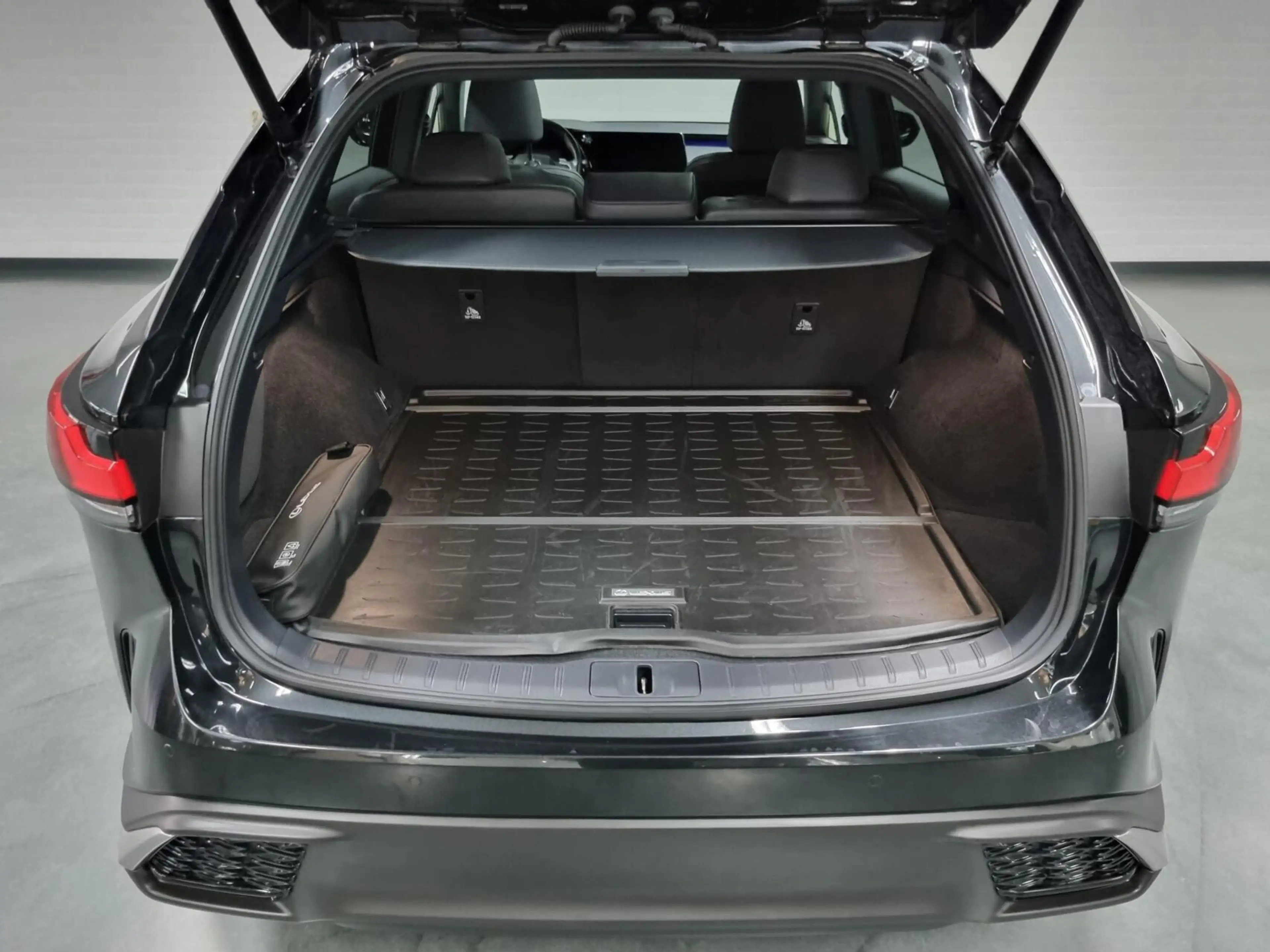 Lexus RX 450h 450h+ Plug-in Hybrid F Sport Design / Panoramadak — photo 13