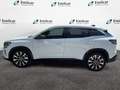 Renault Austral Full Hybrid E-Tech 200 CV Techno Bianco - thumbnail 4