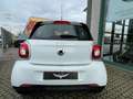 smart forFour 70 1.0 Prime PREZZO REALE Blanc - thumbnail 4