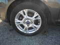 Ford Fiesta Fiesta 5p 1.4 Titanium Gpl 95cv E6 Gris - thumbnail 17