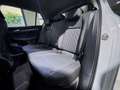 Volkswagen Golf NUOVA GOLF 1.5 tsi Life 115cv KM ZERO Bianco - thumbnail 12