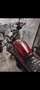 Benelli Leoncino Rouge - thumbnail 2