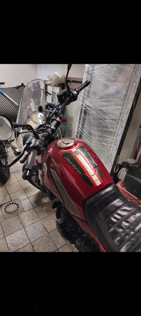 Benelli Leoncino Rouge - 2