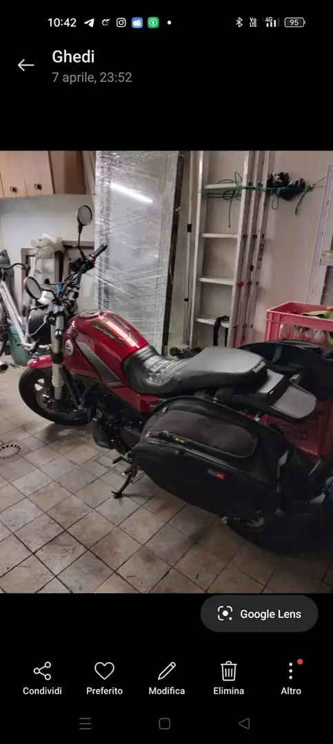 Benelli Leoncino Rouge - 1