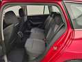 Skoda Octavia 1.5 TSI 150Cv MHEV DSG Ambition Plus Rood - thumbnail 13