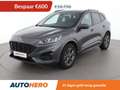 Ford Kuga 2.5 Plug-in Hybrid ST-Line Gris - thumbnail 1