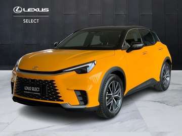 Hybrid Emotion