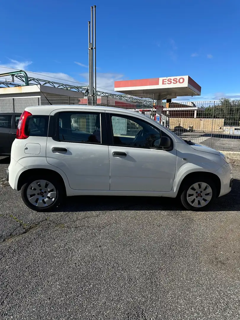 Fiat Panda Panda 1.2 Easy Bianco - 1