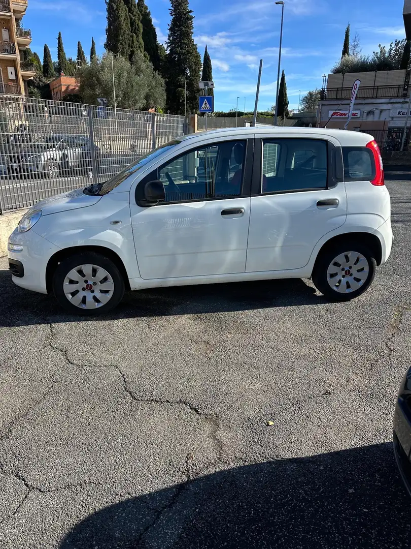Fiat Panda Panda 1.2 Easy Bianco - 2