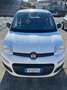 Fiat Panda Panda 1.2 Easy Bianco - thumbnail 3