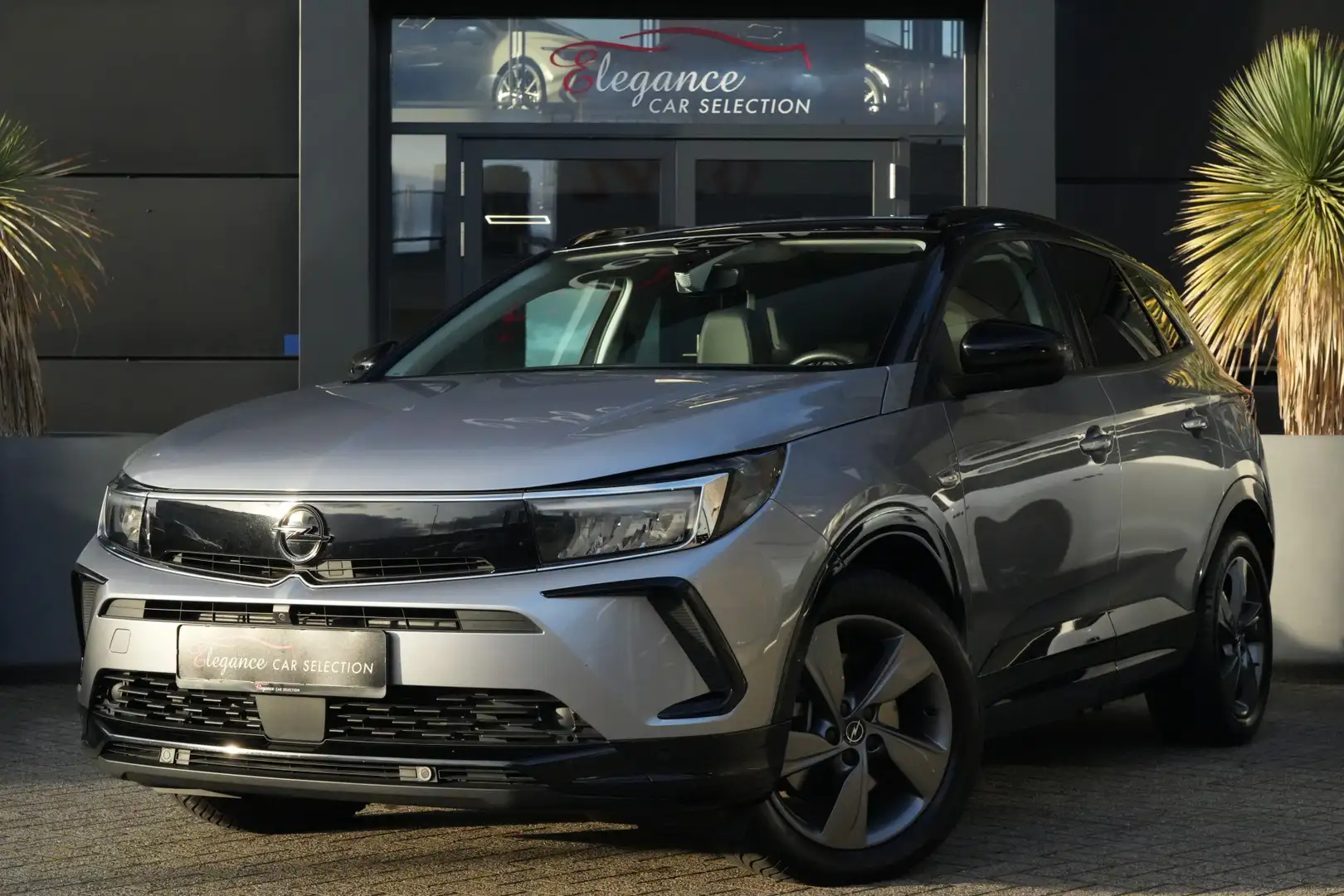 Opel Grandland 1.6 Turbo Plug-In Hybrid GS 225pk Navigatie/Stoelv Zilver - 1