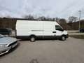 Iveco Daily HKa 35 S... Radstand 3950 Weiß - thumbnail 4